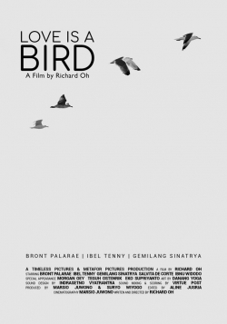 Watch Love is A Bird movies free hd online