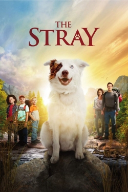 Watch The Stray movies free hd online