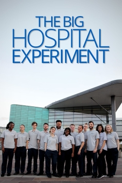 Watch The Big Hospital Experiment movies free hd online