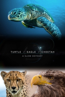 Watch Turtle, Eagle, Cheetah: A Slow Odyssey movies free hd online