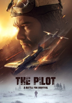 Watch The Pilot. A Battle for Survival movies free hd online