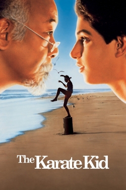 Watch The Karate Kid movies free hd online