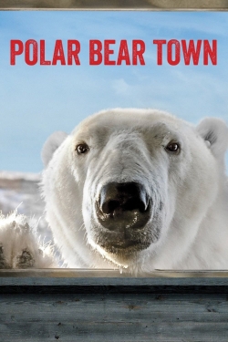 Watch Polar Bear Town movies free hd online