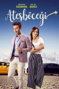 Watch Ateşböceği movies free hd online