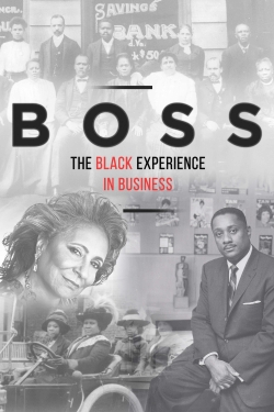 Watch BOSS: The Black Experience in Business movies free hd online