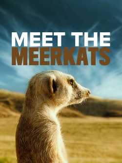 Watch Meet The Meerkats movies free hd online